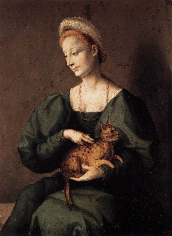 Dama con gatto di Bacchiacca