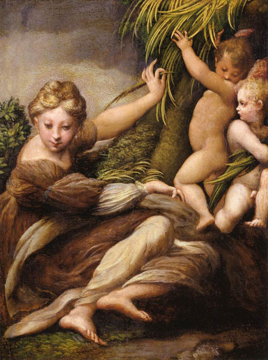 Madonna col Bambino e un angelo di Parmigianino