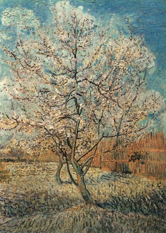Albero di pesco in fiore di Vincent Van Gogh