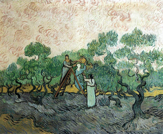 La raccolta delle olive di Vincent van Gogh