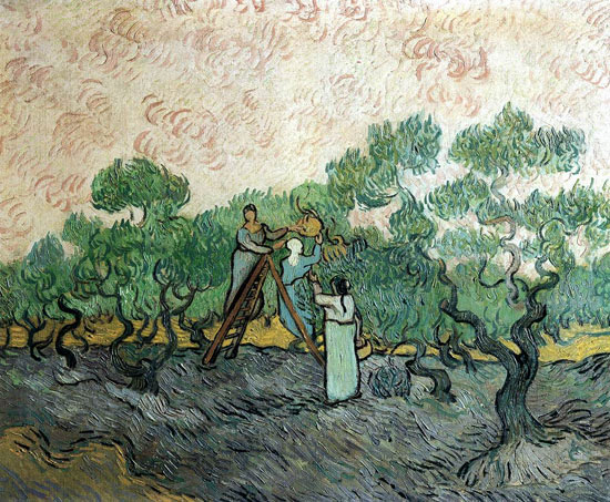 La raccolta delle olive di Vincent van Gogh, podcast di ...