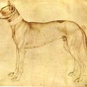 Gli animali del Pisanello secondo Adolfo Venturi, tra legami gotici e impulsi rinascimentali