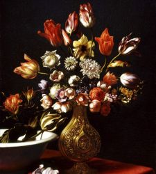 A still life by Carlo Dolci: the most beautiful ever painted in Florence?