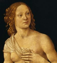 The other Venus of the Uffizi: the human and natural goddess of Lorenzo di Credi