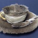 “Colazione in pelliccia”: la tazza da tè surrealista che scosse il mondo dell'arte