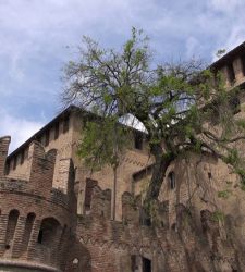 Fontanellato e la Rocca Sanvitale