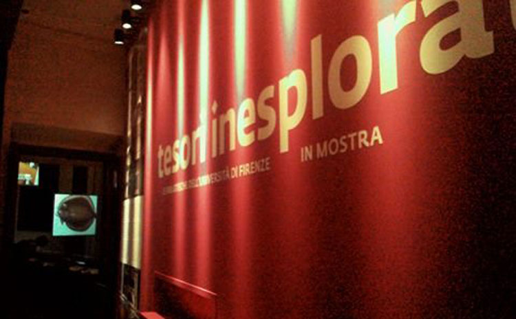 La mostra Tesori inesplorati La mostra Tesori inesplorati