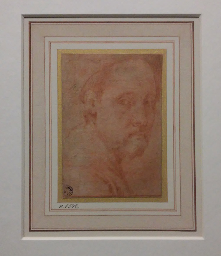 Pontormo, Autoritratto Pontormo, Autoritratto