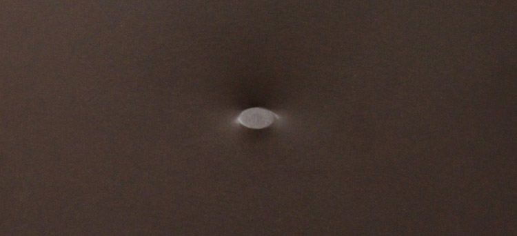 Turi Simeti, Un ovale marrone Turi Simeti, Un ovale marrone