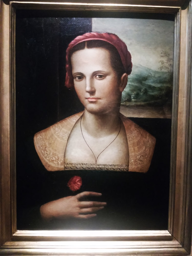 Giomo del Sodoma, Dama con garofano Giomo del Sodoma, Dama con garofano