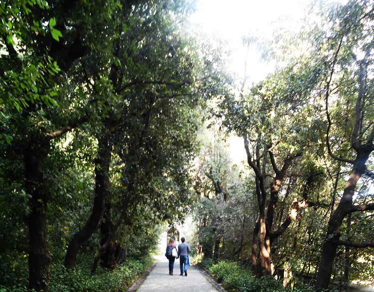 La fine del viale Gotico