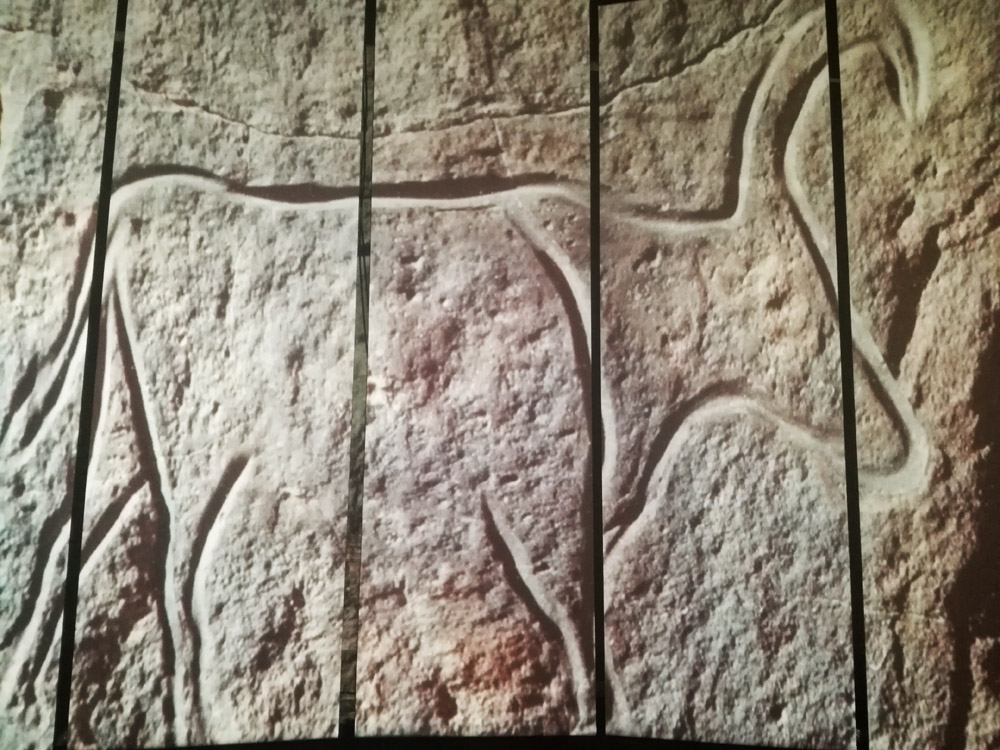 Mostra "La fragilità del segno". Immagini e video proiettati nella terza sezione Mostra "La fragilità del segno". Immagini e video proiettati nella terza sezione