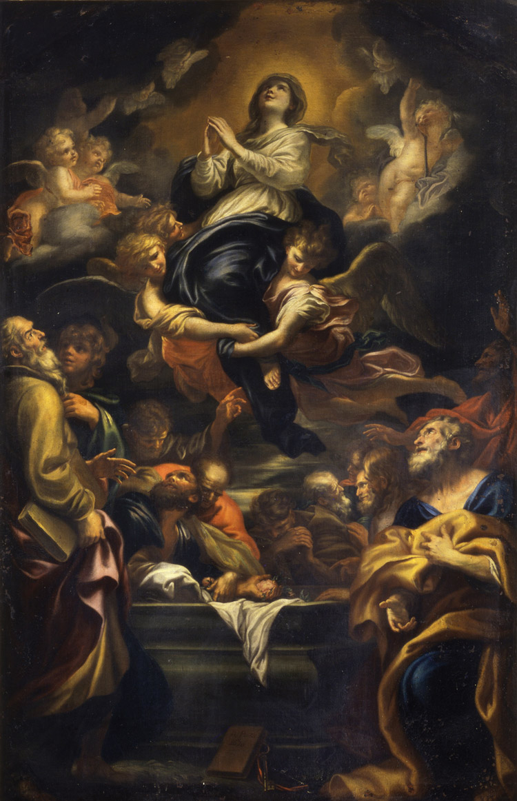 Domenico Piola, Madonna Assunta Domenico Piola, Madonna Assunta