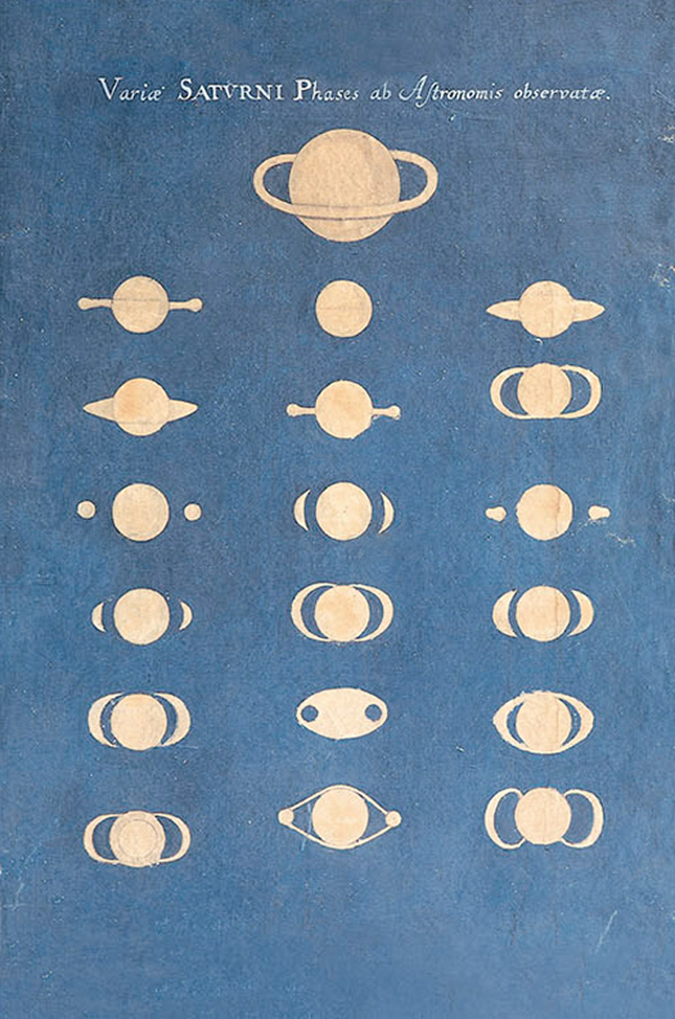 Maria Clara Eimmart, Aspetto di Saturno (fine XVII secolo; pastello su cartone azzurro, 64 x 52 cm; Bologna, Università di Bologna, Museo della Specola