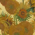 Cinque versioni dei girasoli di Van Gogh riunite. Per un'inedita “mostra virtuale” su Facebook
