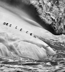 Genesi, ultimo grande lavoro di Salgado, in mostra a Napoli