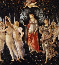 The plant species in Sandro Botticelli's Primavera