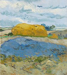 In Vicenza, here's Van Gogh between the wheat and the sky: Marco Goldin's latest exhibitionrapanettone