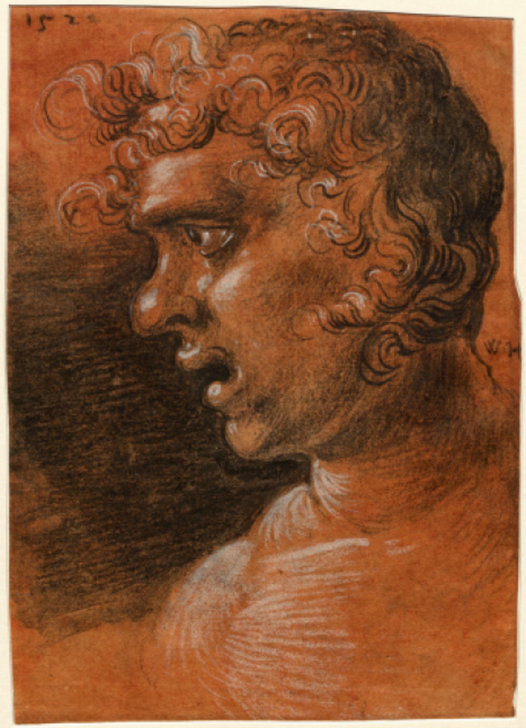 Wolf Huber, Testa di giovane uomo con la bocca aperta 
