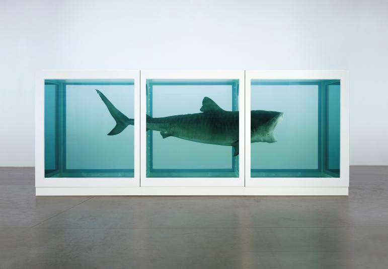 Damien Hirst, The Physical Impossibility of Death in the Mind of Someone Living (1991)
 Damien Hirst, The Physical Impossibility of Death in the Mind of Someone Living (1991)