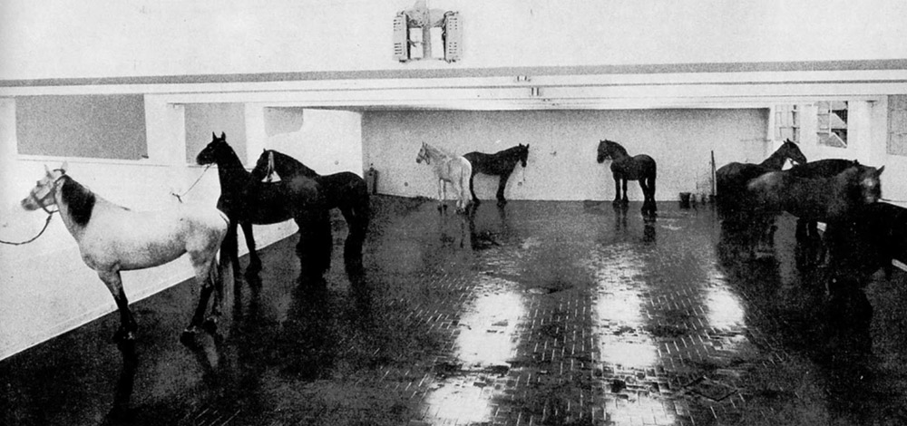 Jannis Kounellis, Senza titolo (1969)
 Jannis Kounellis, Senza titolo (1969)