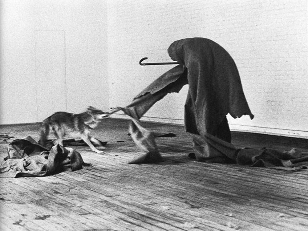 Joseph Beuys, I like America and America likes me (1974)
 Joseph Beuys, I like America and America likes me (1974)