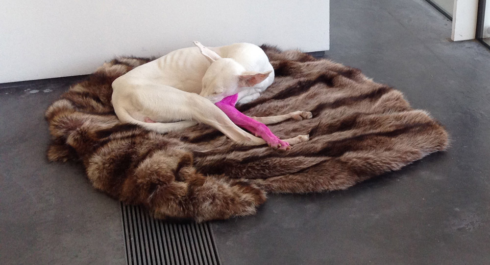 Pierre Huyghe, Untilled (2012-2013)
 Pierre Huyghe, Untilled (2012-2013)