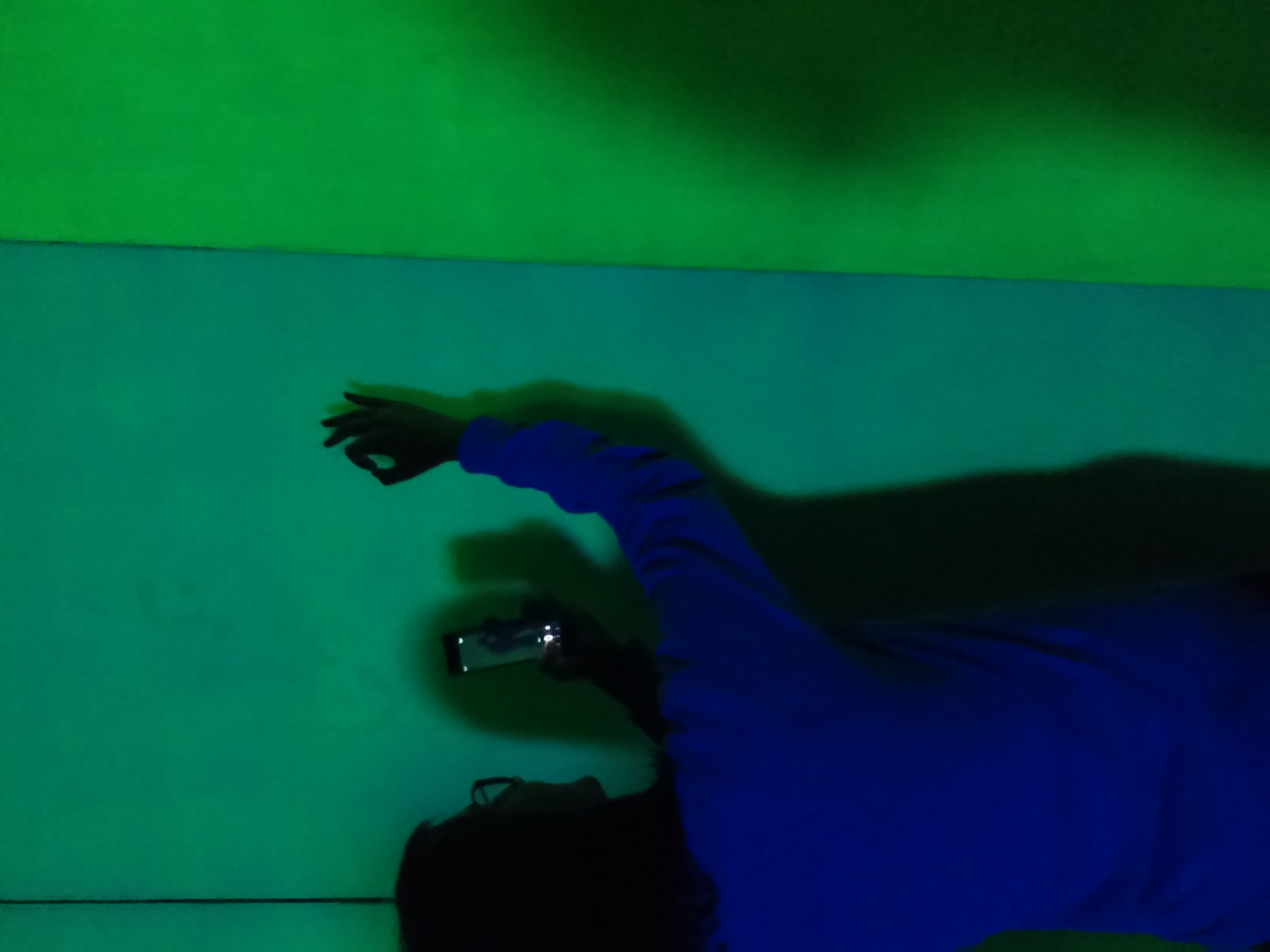 Alberto Biasi, Eco (1964-1974;
tele fluorescenti irradiate da luce di Wood,
cm 364 × 252 × 3 per ciascun pannello;
Padova, Archivio Alberto Biasi e Documenti
Gruppo N)
