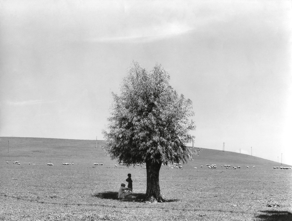 Fulvio Roiter, L'uomo e l'albero, 1950 © Archivio Storico Circolo Fotografico La Gondola Venezia
