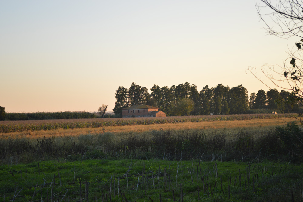 Casa Simoni, uno dei luoghi della strage: vi furono uccise ventitré persone. Ph. Credit Matteo Grasso - Istituto Storico della Resistenza di Pistoia
