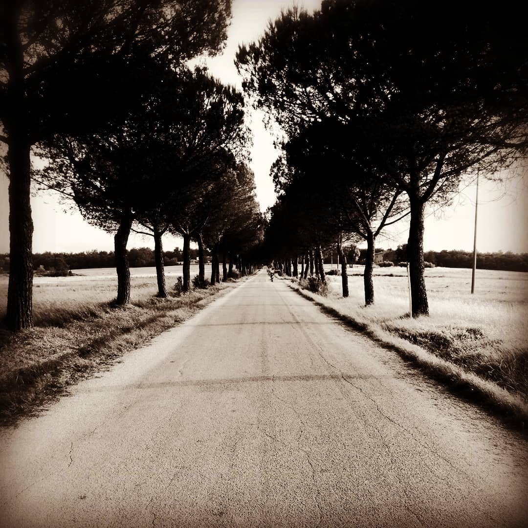 Il Padule di Fucecchio. Ph. Credit Iuri Lotti
