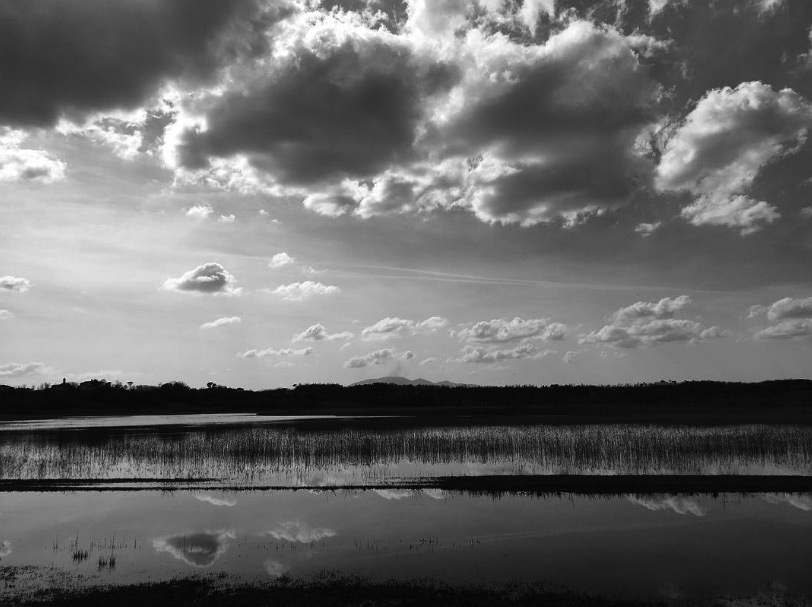 Il Padule di Fucecchio. Ph. Credit Cristina Monticelli
