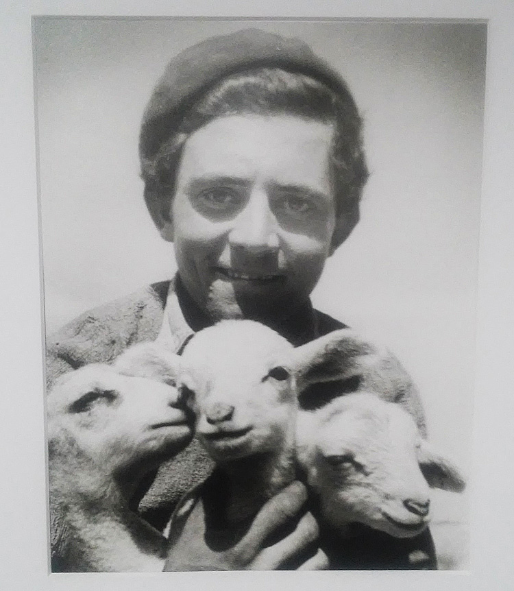 Vivian Maier, Homme avec trois agneaux dans les bras (s.d.; fotografia originale con stampa argentica; Collezione privata)
