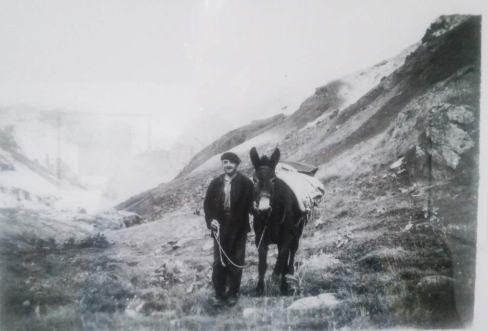 Vivian Maier, L'homme et son mulet (s.d.; stampa contemporanea anticata a getto d'inchiostro; Collezione privata)
