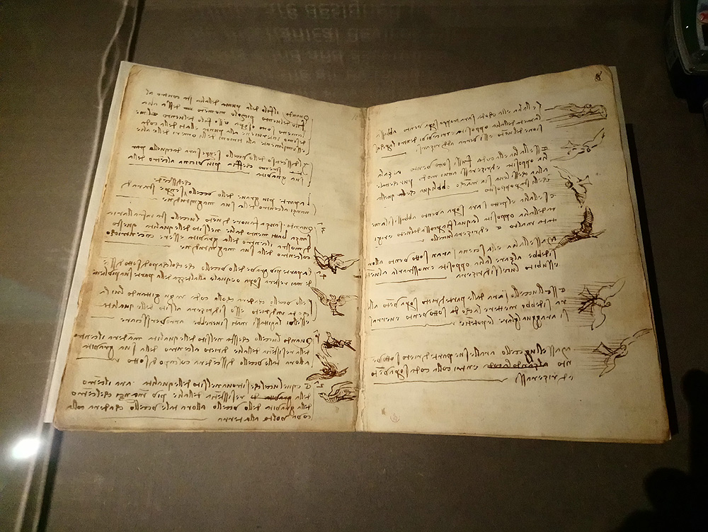 Immagini dalla mostra L'acqua microscopio della natura. Il Codice Leicester di Leonardo da Vinci. Ph. Credit Finestre sull'Arte
