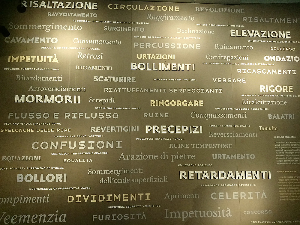 Immagini dalla mostra L'acqua microscopio della natura. Il Codice Leicester di Leonardo da Vinci. Ph. Credit Finestre sull'Arte
