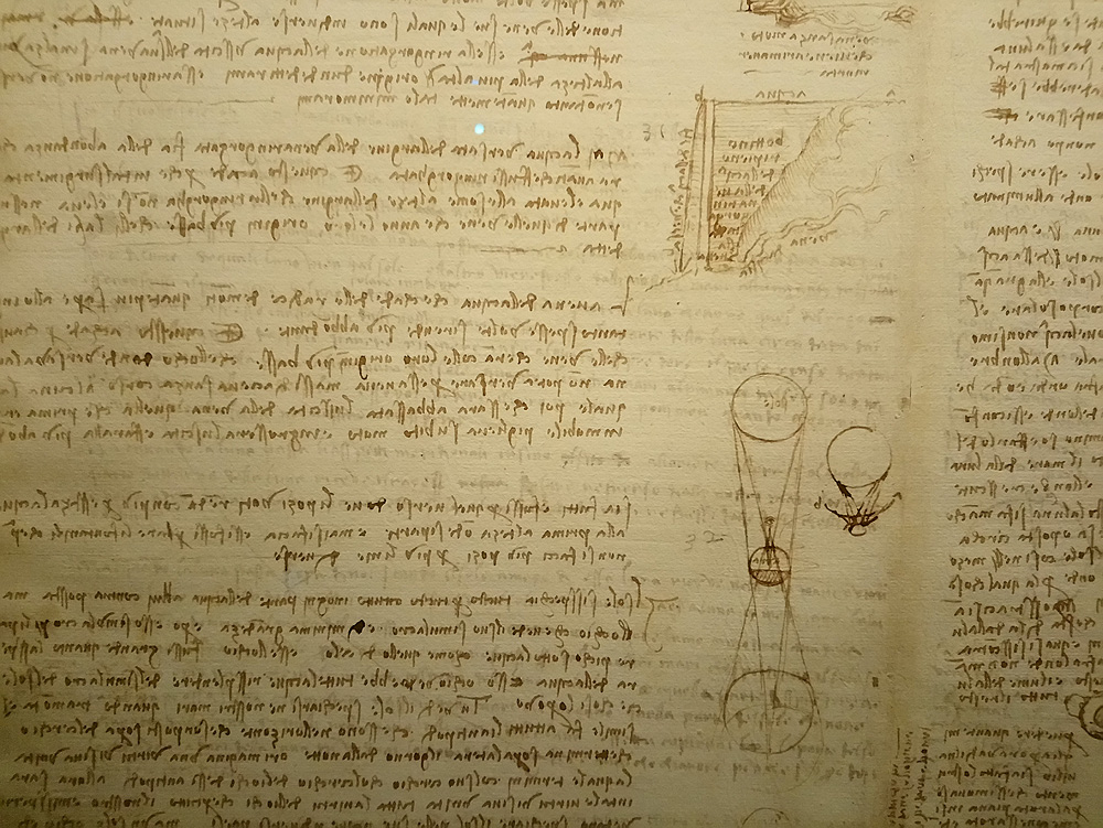 Immagini dalla mostra L'acqua microscopio della natura. Il Codice Leicester di Leonardo da Vinci. Ph. Credit Finestre sull'Arte
