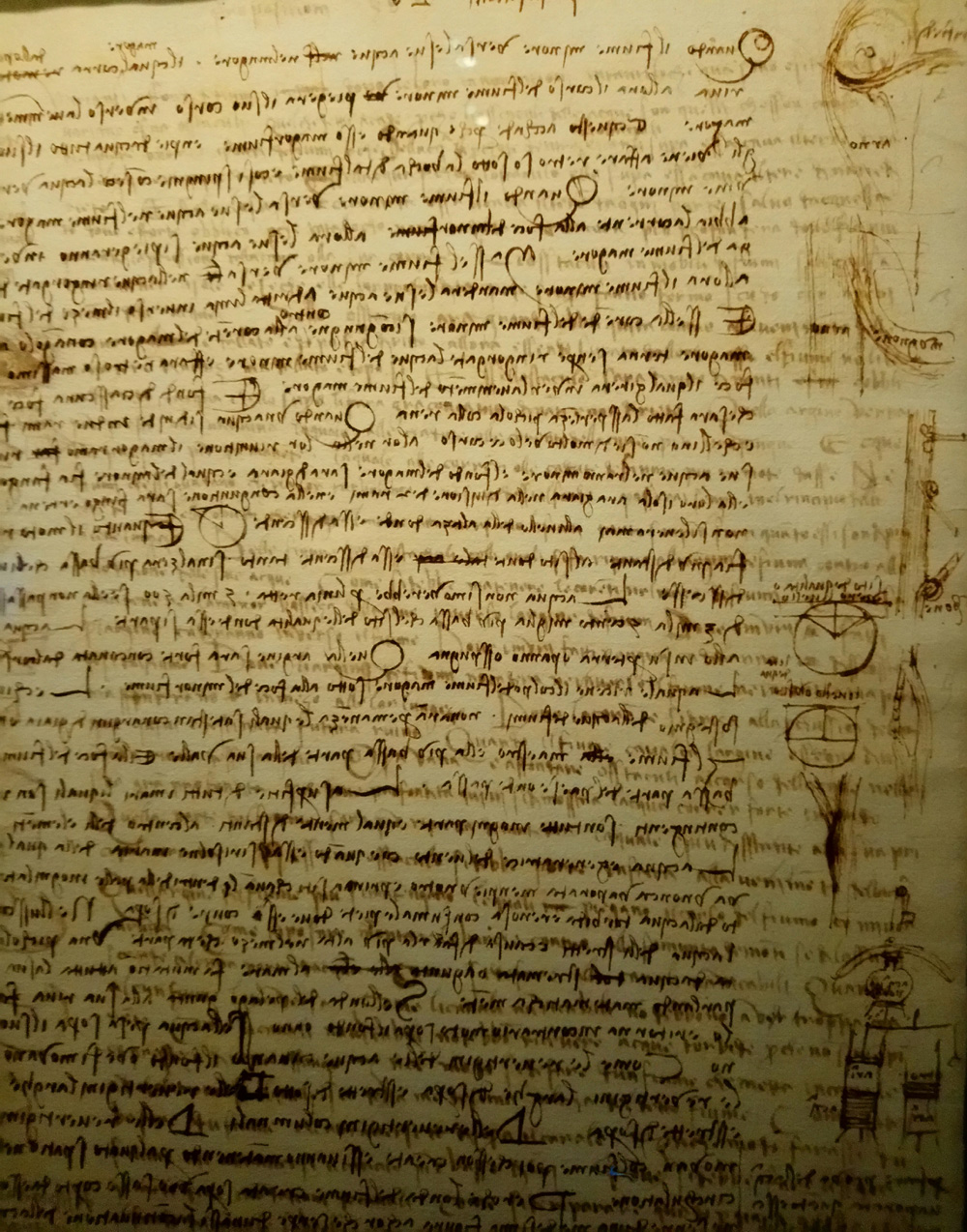 Immagini dalla mostra L'acqua microscopio della natura. Il Codice Leicester di Leonardo da Vinci. Ph. Credit Finestre sull'Arte
