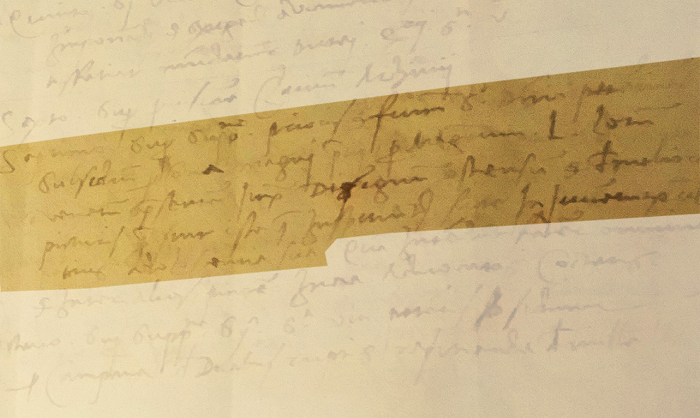 La frase in cui si parla delle opere giovanili di Lorenzo Lotto presenti a Recanati: Super supplicatione prioris fratrum S. Dominici petentis subsidium pro cona magni pretii per magistrum L. Lotum Venetum construenda iuxta designum ostensum et melioribus picturi, que sintiste que inspiciuntur facte in iuventute vel potius in adolescentia sua.
