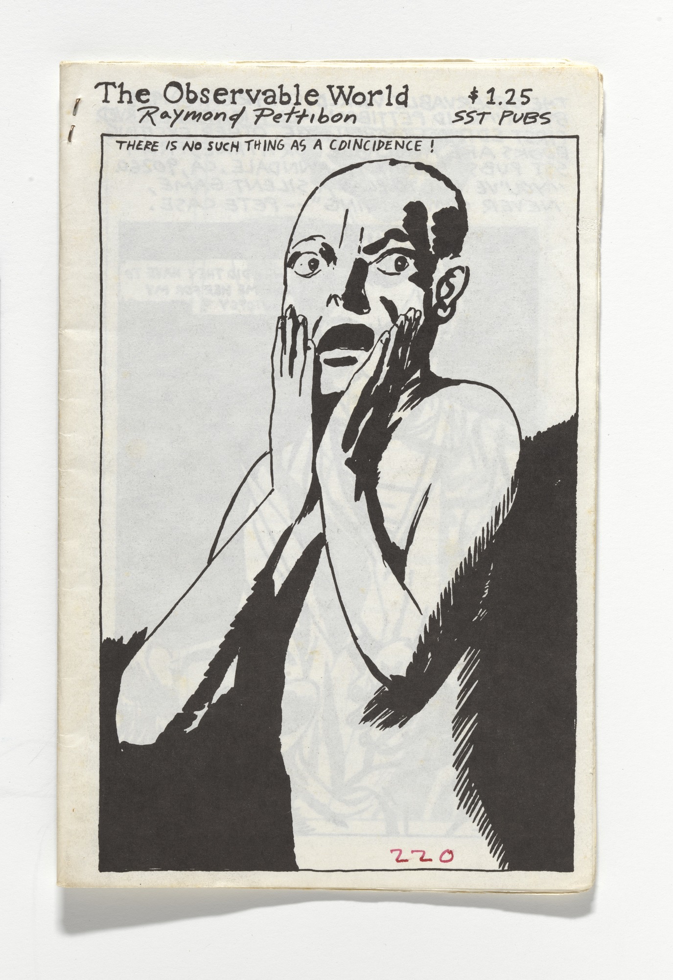 Raymond Pettibon, The Observable World (1985; libro d'artista in stampa litografica, 21,6 x 14 cm; New York, MoMA)
