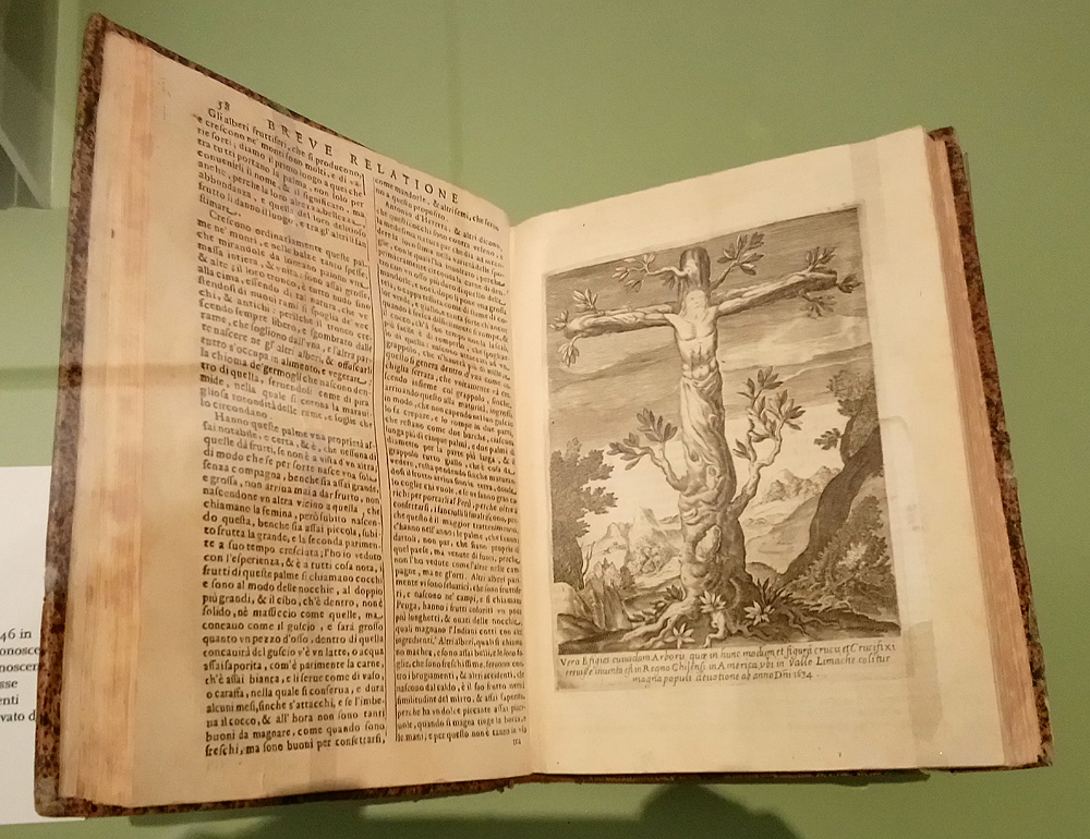Alonso de Ovalle, Historica relatione del Regno di Cile, e delle missioni, e ministerij che esercita in quelle la Compagnia di Giesu, pubblicato in Roma presso Francesco Cavalli (1646; [8], 378, [2], 12, 6 p., [32] c. di tav., [1] c. di tav. ripieg., ill., c. geogr., 4°; Modena, Biblioteca Estense Universitaria)
