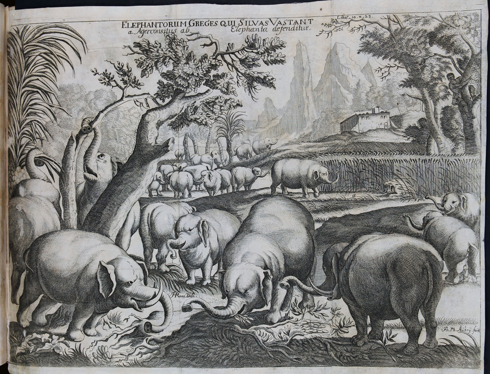 Hiob Ludolf, Iobi Ludolf aliàs Leut-Holf dicti Historia Aethiopica, sive brevis & succincta descriptio Regni Habessinorum, quod vulgò malè Presbyteri Iohannis vocatur. In qua libri quatuor agitur [...] Cum tabula capitum, & indicibus necessariis, pubblicata in Francoforte sul Meno presso Johann David Zunner II, per i tipi di Balthasar Christoph Wust sen. (1681; [168] c., [10] c. di tav. di cui 9 ripieg., [2]c. di tav. ripieg., ill., 1 ritr. e c. geogr. calcogr., fol.; Modena, Biblioteca Estense Universitaria)
