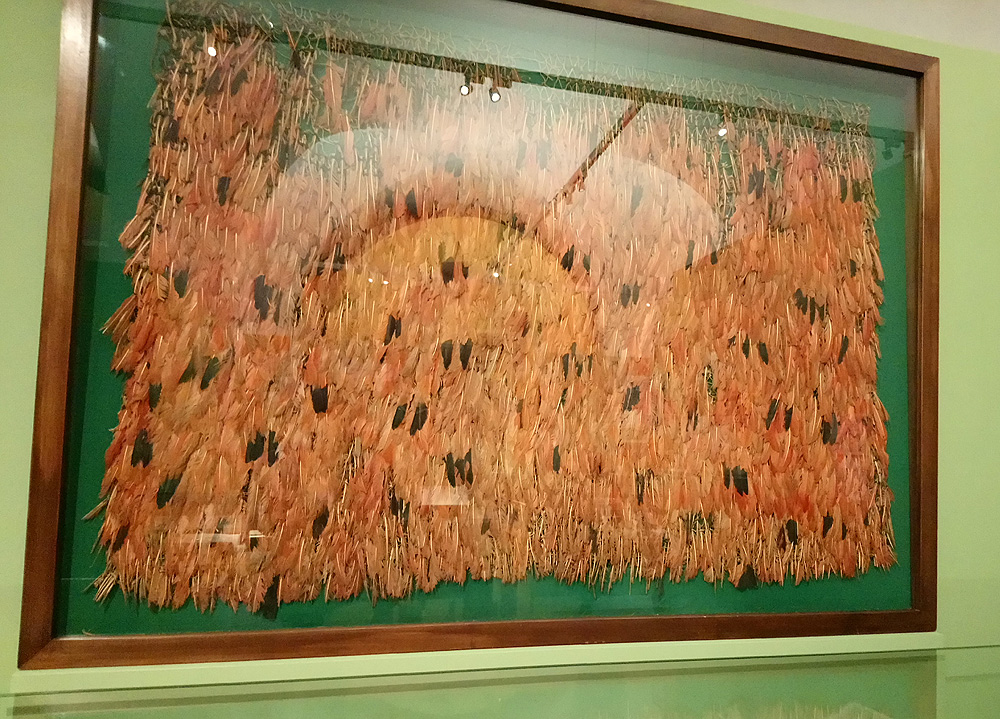 Disegni originali che sono descritti nell'opera scritta in latino dal Dott. Fis. Collegiato Paolo Maria Terzago, tradotta in italiano con aumenti del Dott. Fis. Pietro Francesco Scarabelli e stampato in Voghera nel 1666 in un volume in quarto da Eliseo Viola (XVII secolo; ms. cart., cc. I, 87, 310 x 225 mm; Modena, Biblioteca Estense Universitaria)
