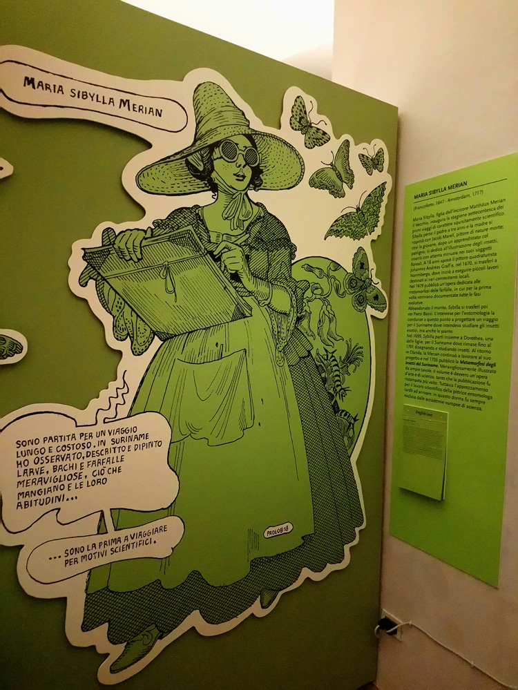 Allestimenti della mostra Meravigliose Avventure alla Galleria Estense di Modena
