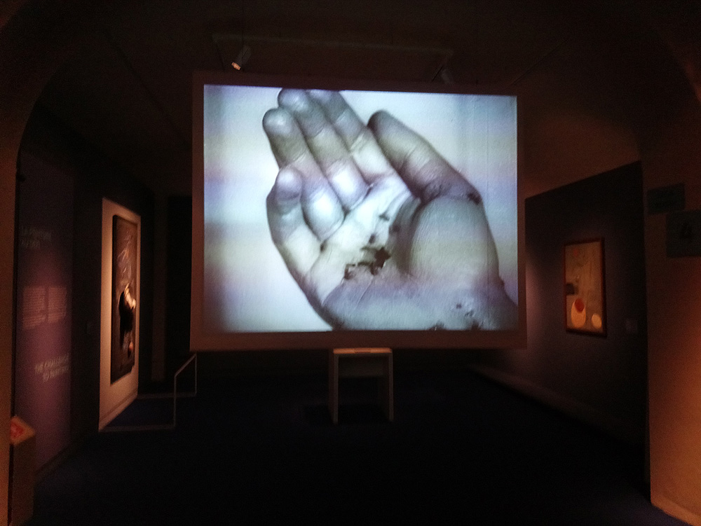 La proiezione di Un chien andalou alla mostra di Palazzo Blu
