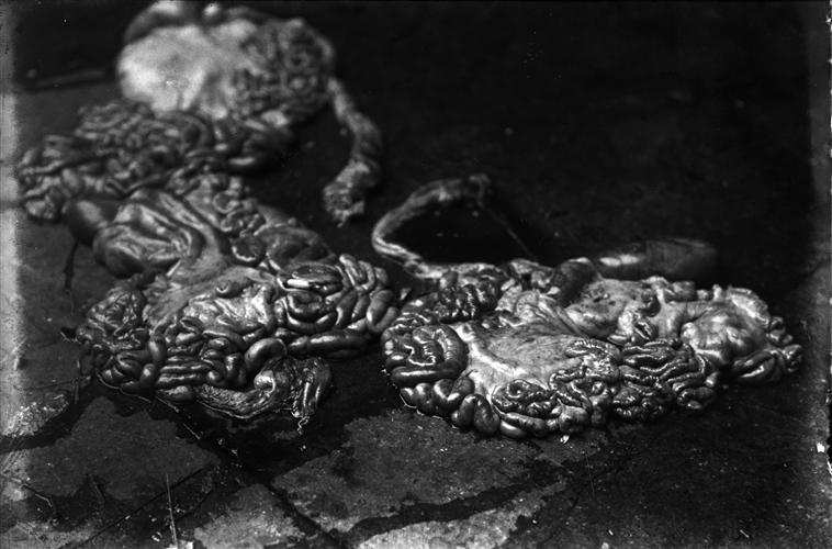 Eli Lotar, Aux abbattoirs de la Villette (1929; stampa alla gelatina ai sali d'argento, 30,4 x 52 cm; Parigi, Centre Pompidou, Musée National d'art moderne) 
