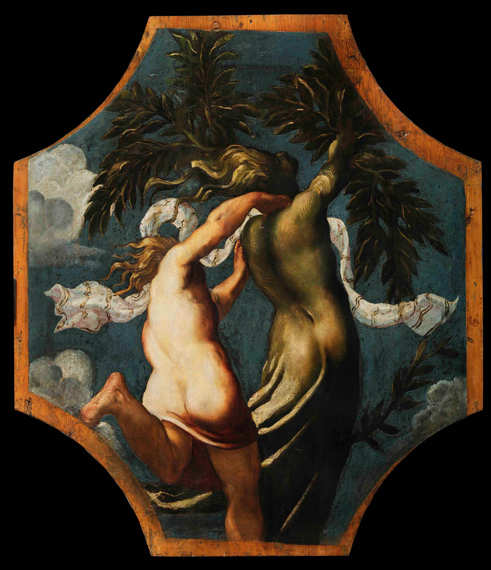 Tintoretto, Apollo e Dafne (1542 circa; olio su tavola, 153 x 133 cm; Modena, Gallerie Estensi)
