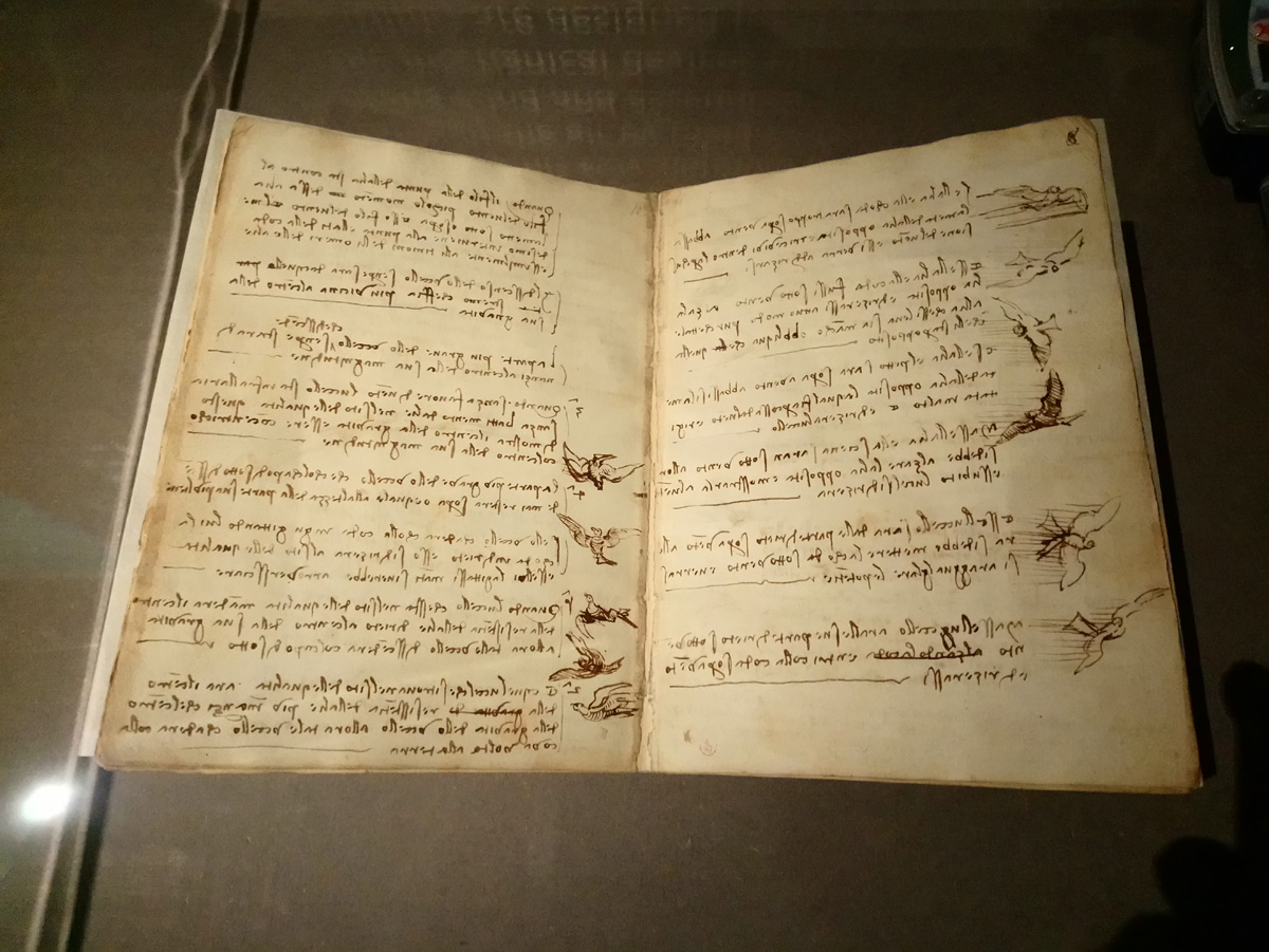 Leonardo da Vinci, Codice sul volo degli uccelli, fogli 7v-8r (1505-1506; manoscritto su carta; Torino, Biblioteca Reale)
