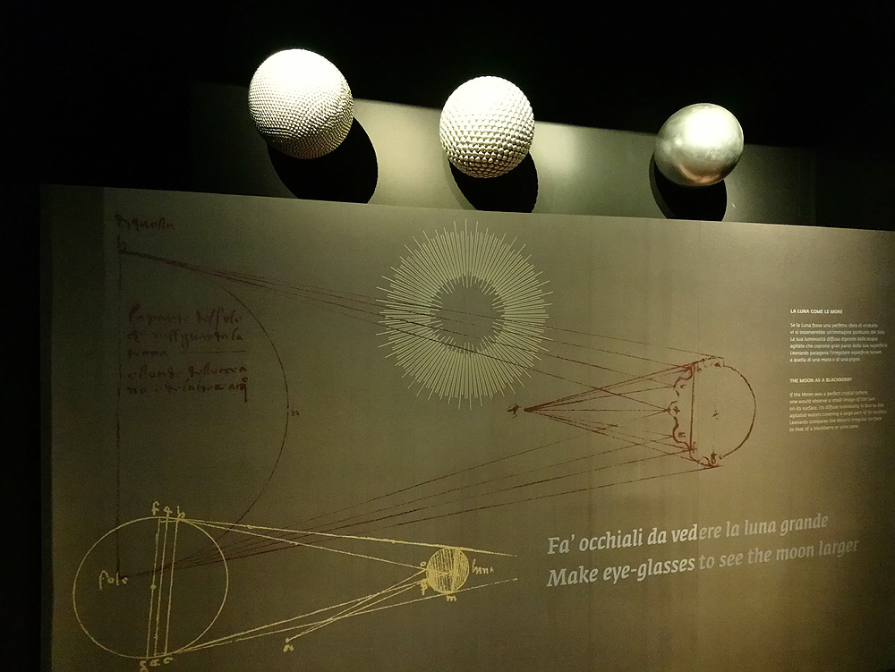 Immagini dalla mostra L'acqua microscopio della natura. Il Codice Leicester di Leonardo da Vinci
