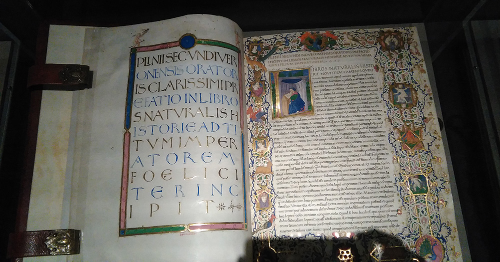 Plinio il Vecchio, Ricciardo di Nanni (miniatore), Naturalis Historia: ritratto ideale di Plinio (1458; manoscritto membranaceo, miniatura a bianchi girari, Firenze, Biblioteca Medicea Laurenziana)
